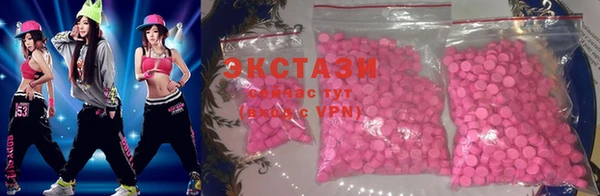 индика Дмитровск