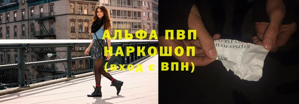 спиды Дмитриев