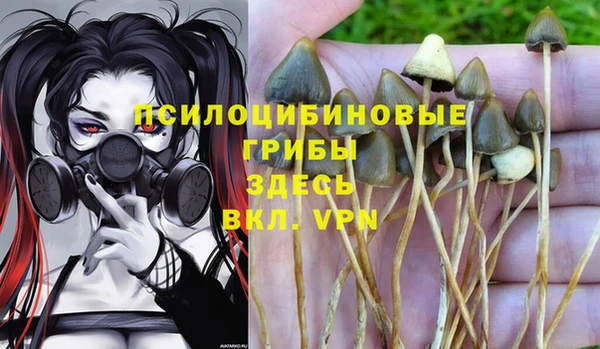 индика Дмитровск