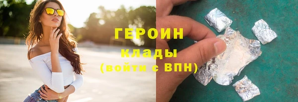 индика Дмитровск