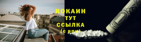 соль ск Шадринск