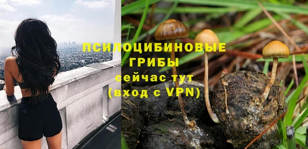 мдма Новозыбков