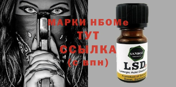 индика Дмитровск