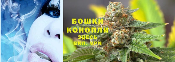 спиды Дмитриев