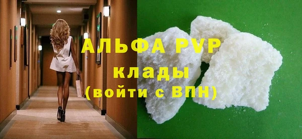 индика Дмитровск