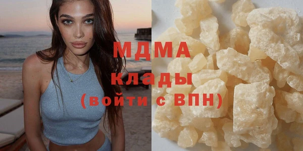 индика Дмитровск