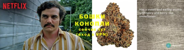 индика Дмитровск